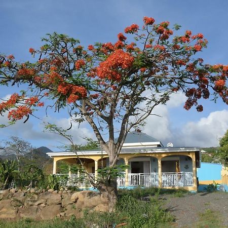 Villa Stenella บูญองต์ ภายนอก รูปภาพ